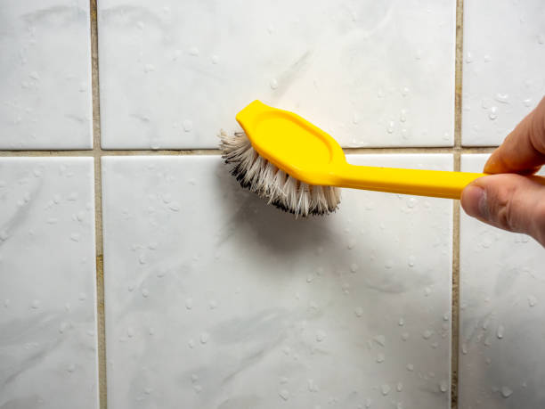 Best Same-Day Mold Removal  in Newton, NC