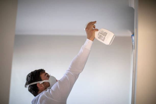 Office Mold Removal Services in Newton, NC