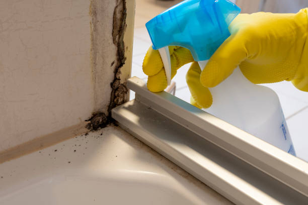 Best Professional Mold Removal  in Newton, NC