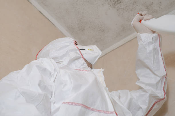 Water Damage Restoration in Newton, NC