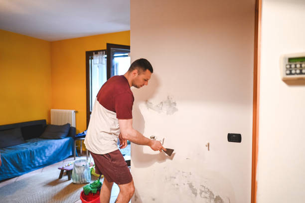 Best Toxic Mold Removal  in Newton, NC